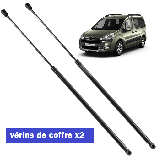 Vérins de coffre Berlingo / Tepee